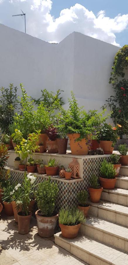 Casa Rural Los Danzantes Fuente-Tojar Exteriör bild