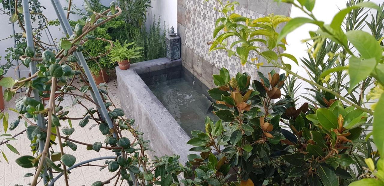 Casa Rural Los Danzantes Fuente-Tojar Exteriör bild
