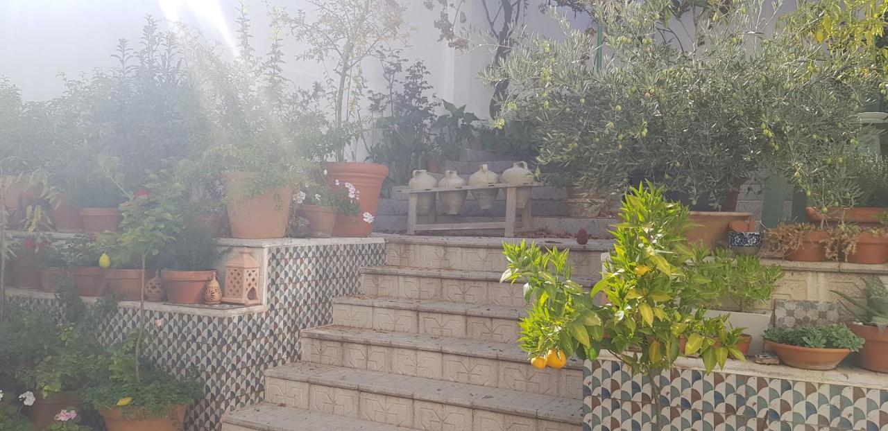 Casa Rural Los Danzantes Fuente-Tojar Exteriör bild