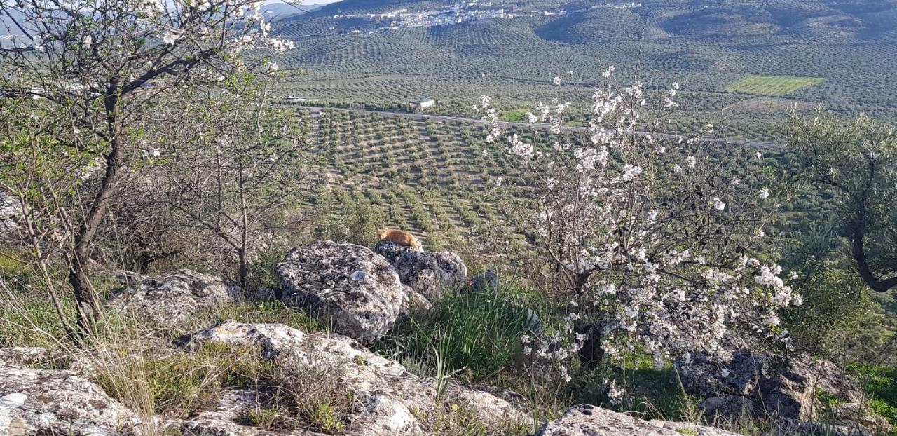 Casa Rural Los Danzantes Fuente-Tojar Exteriör bild